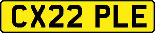 CX22PLE