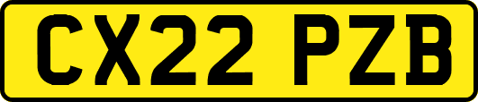 CX22PZB