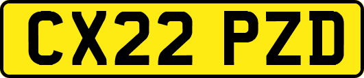 CX22PZD