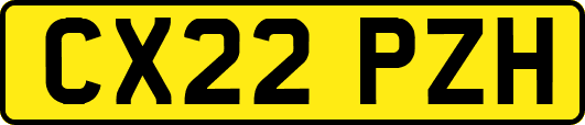 CX22PZH