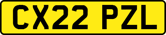 CX22PZL