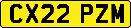 CX22PZM