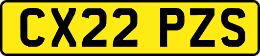 CX22PZS