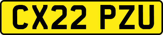 CX22PZU