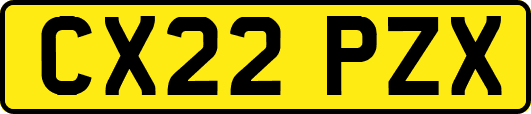 CX22PZX