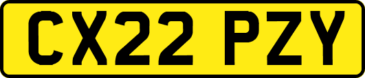 CX22PZY