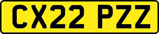 CX22PZZ