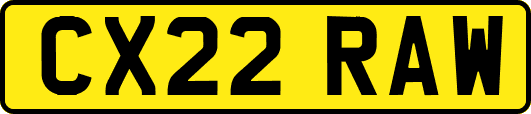 CX22RAW