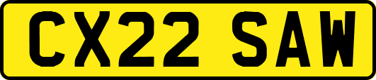 CX22SAW