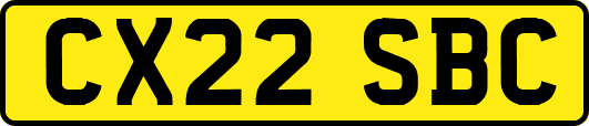 CX22SBC