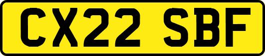 CX22SBF