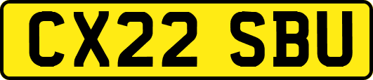 CX22SBU