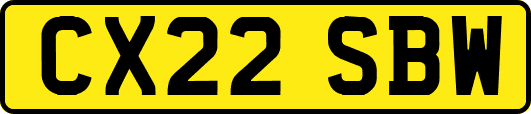 CX22SBW