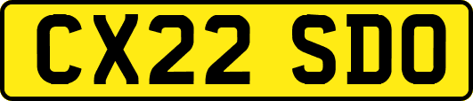 CX22SDO