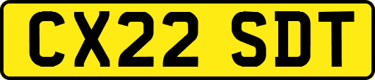 CX22SDT