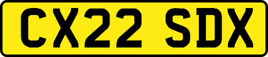 CX22SDX
