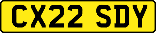 CX22SDY