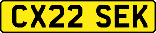 CX22SEK