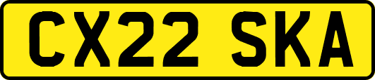 CX22SKA