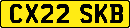CX22SKB