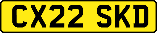 CX22SKD