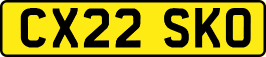 CX22SKO