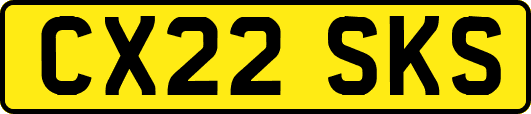 CX22SKS