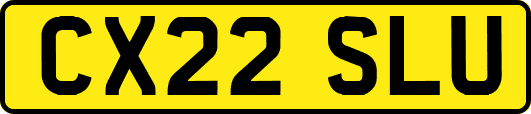 CX22SLU
