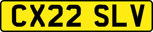 CX22SLV