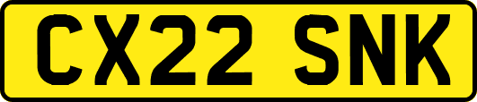 CX22SNK