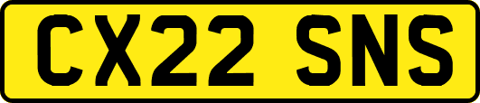 CX22SNS
