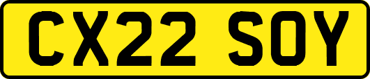 CX22SOY