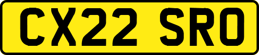 CX22SRO