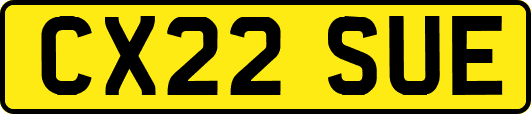 CX22SUE