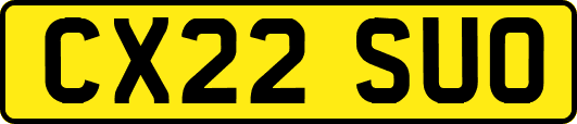 CX22SUO