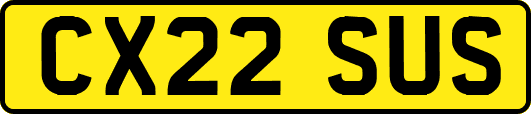 CX22SUS