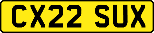 CX22SUX