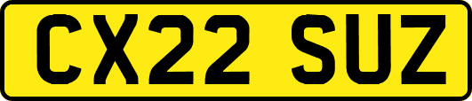 CX22SUZ