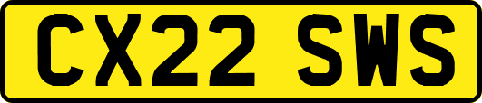 CX22SWS