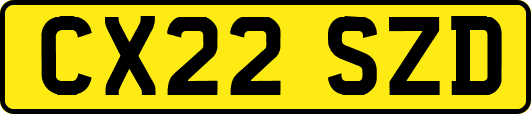 CX22SZD