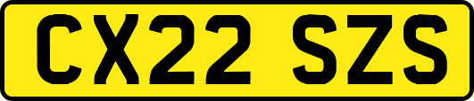 CX22SZS