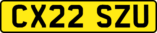 CX22SZU