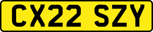 CX22SZY