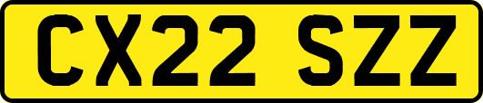 CX22SZZ