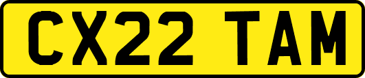 CX22TAM