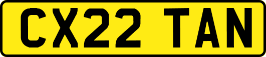 CX22TAN