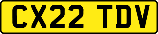 CX22TDV