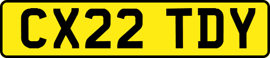 CX22TDY