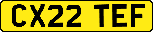 CX22TEF