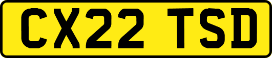 CX22TSD